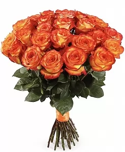 Оранжевые Розы 25 шт.
